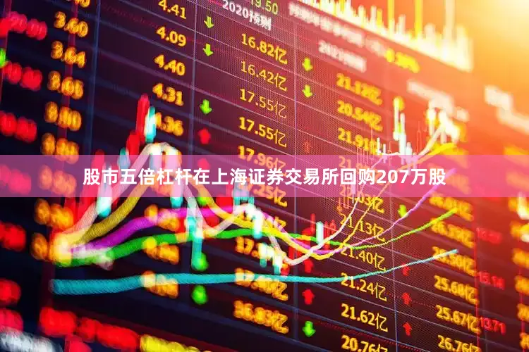 股市五倍杠杆在上海证券交易所回购207万股