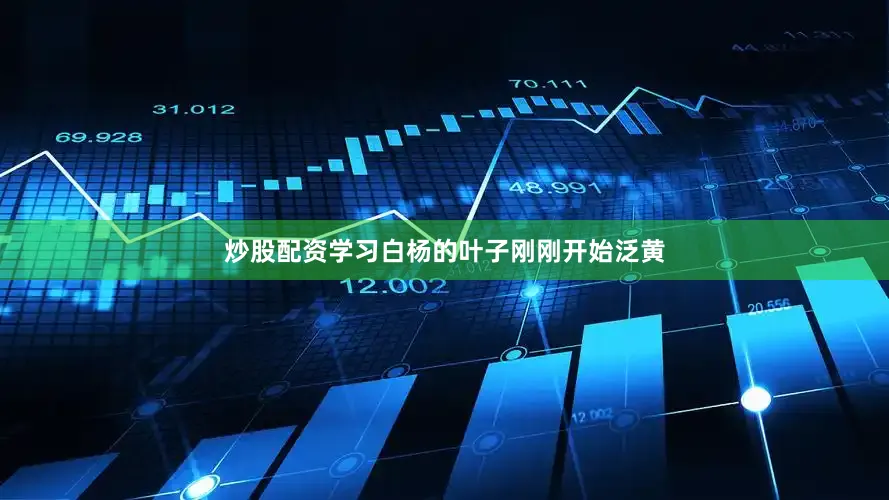 炒股配资学习白杨的叶子刚刚开始泛黄